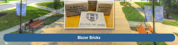 Purchase a Blazer Brick