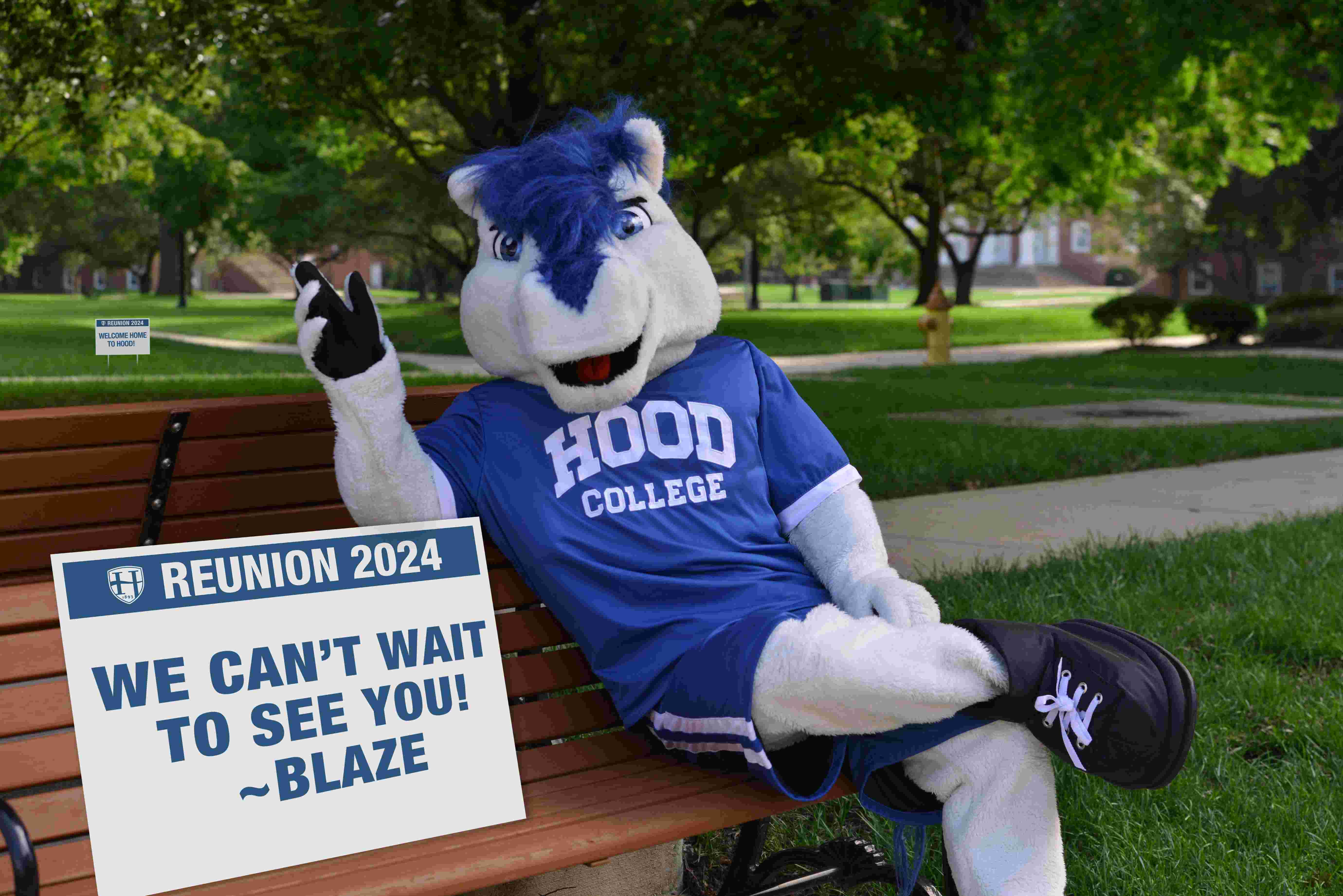 Hood College Reunion Weekend Sign Promotion